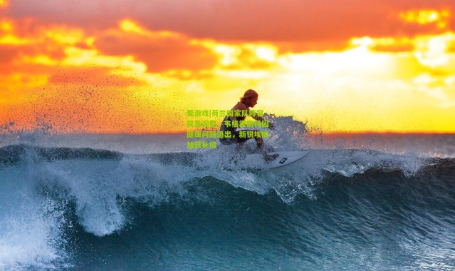 爱游戏|荷兰国家队阵容突发调整，韦格霍斯特因健康问题退出，新锐埃梅加获补招